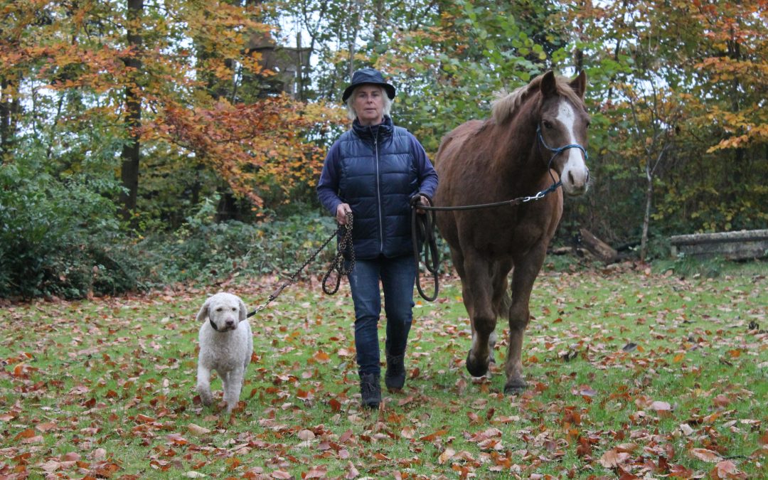 Lagotto Romagnolo Bontje, Sunny und ich