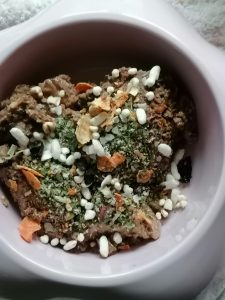 Richtige Ernährung der trächtigen Hündin