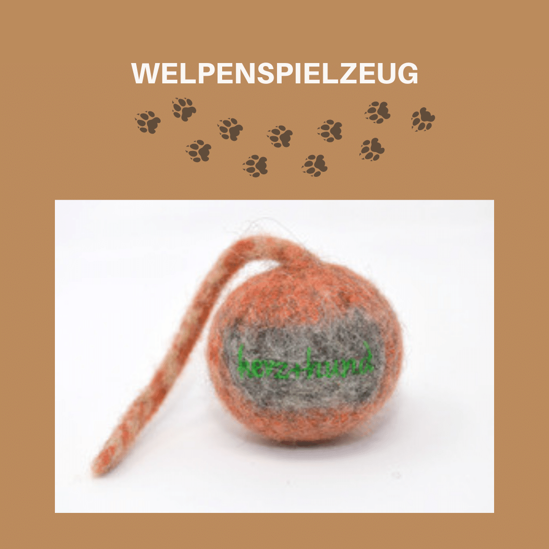 Welpenspielzeug