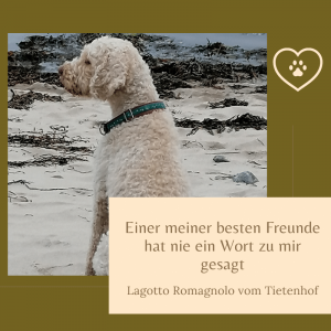 Lagotto Romagnolo Weisheiten