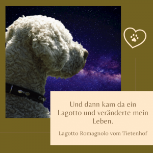 Lagotto Romagnolo Sprüche