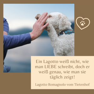 Die schönsten Lagotto Sprüche