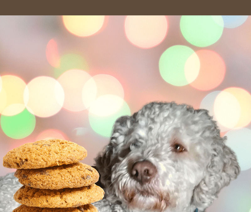 Hundkekse selber backen