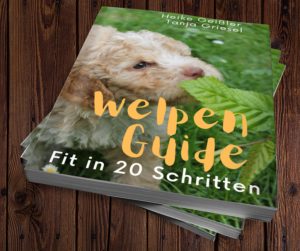 Welpen Ratgeber