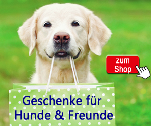 Hund-unterwegs