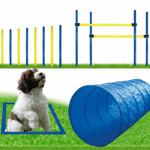 Agility Zubehör von Schecker