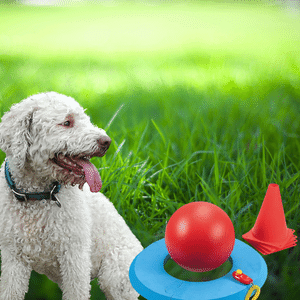 Hunde Golf von Schecker