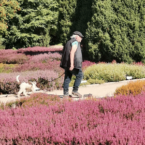 Mit Hund zu Fuß unterwegs