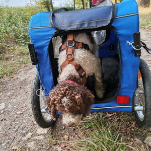 Fahrradanhänger für Hunde