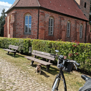 Mit Hund und Rad unterwegs