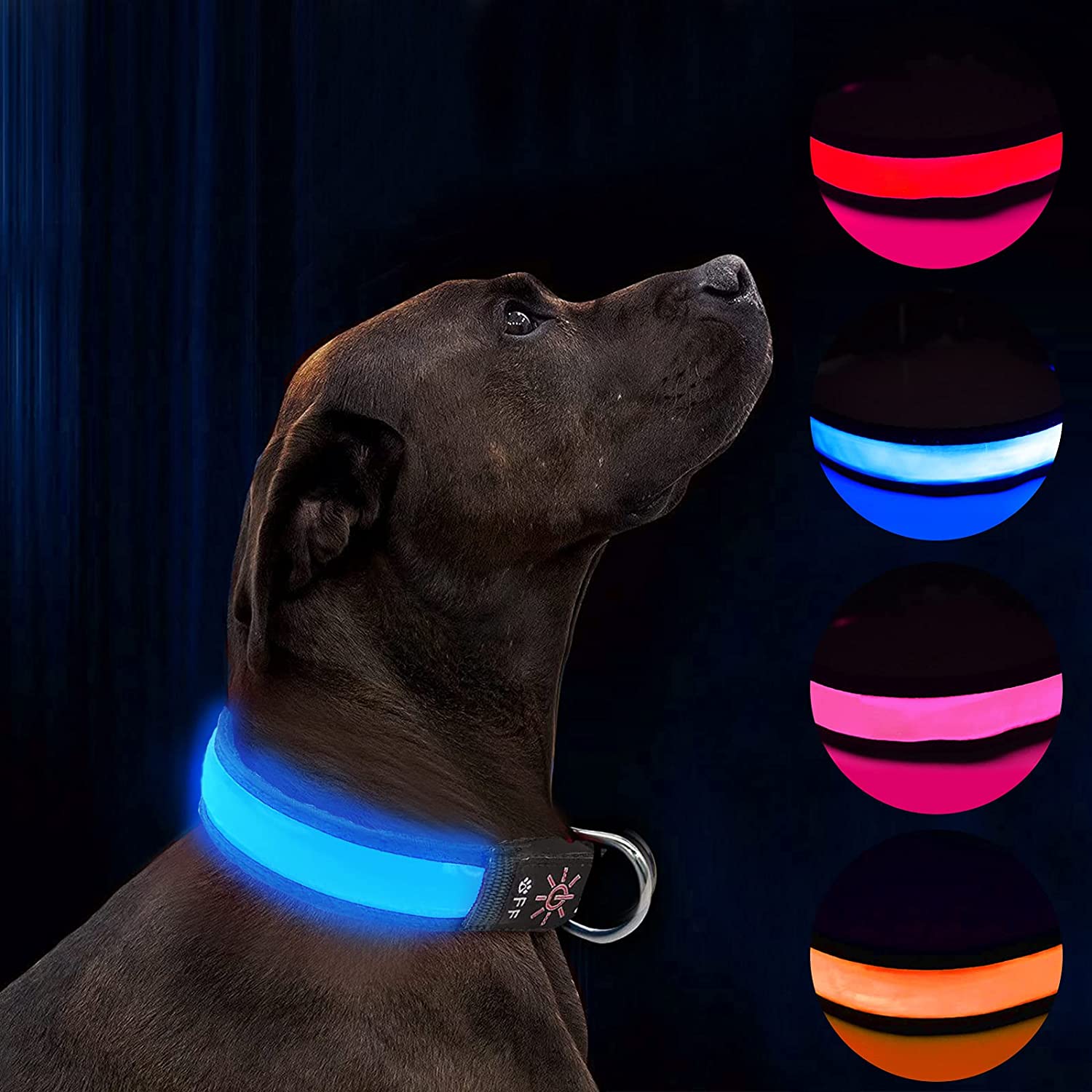 LED Hundhalsband