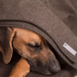 Hohenstein Lodendecke für Hunde