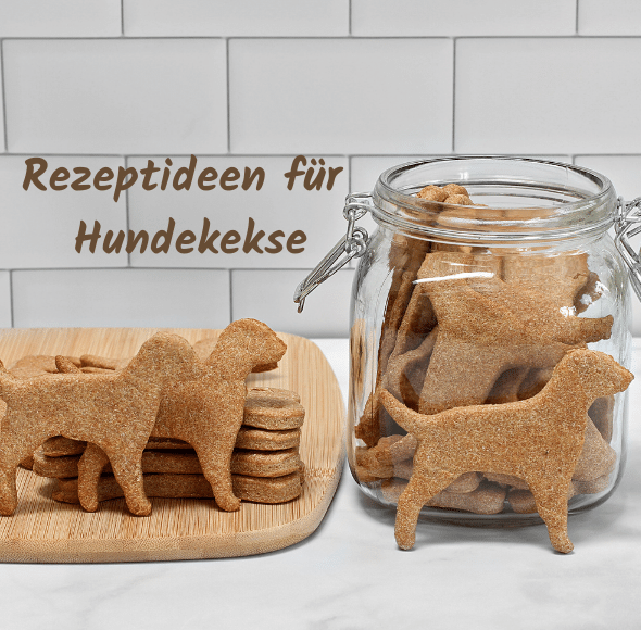 Rezeptideen für Hundekekse