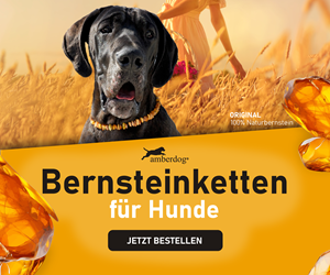 amberdog. Bernsteinketten