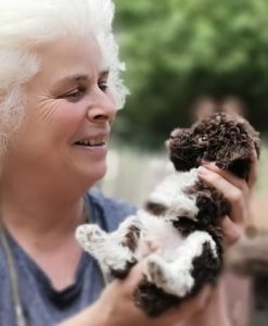 Stubenreinheit beim Lagotto Romagnolo Welpen