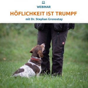 Höflichkeit ist Trumpf Webinar