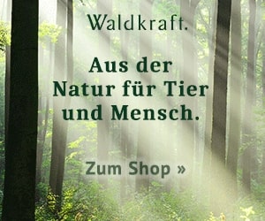 Waldkraft