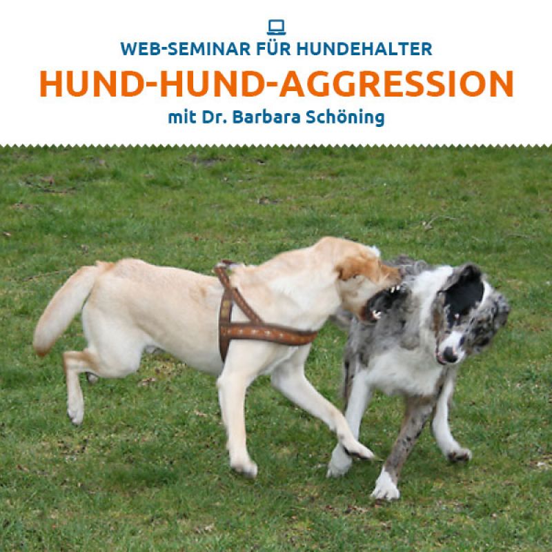 Webinar "Hund-Hund-Aggression"