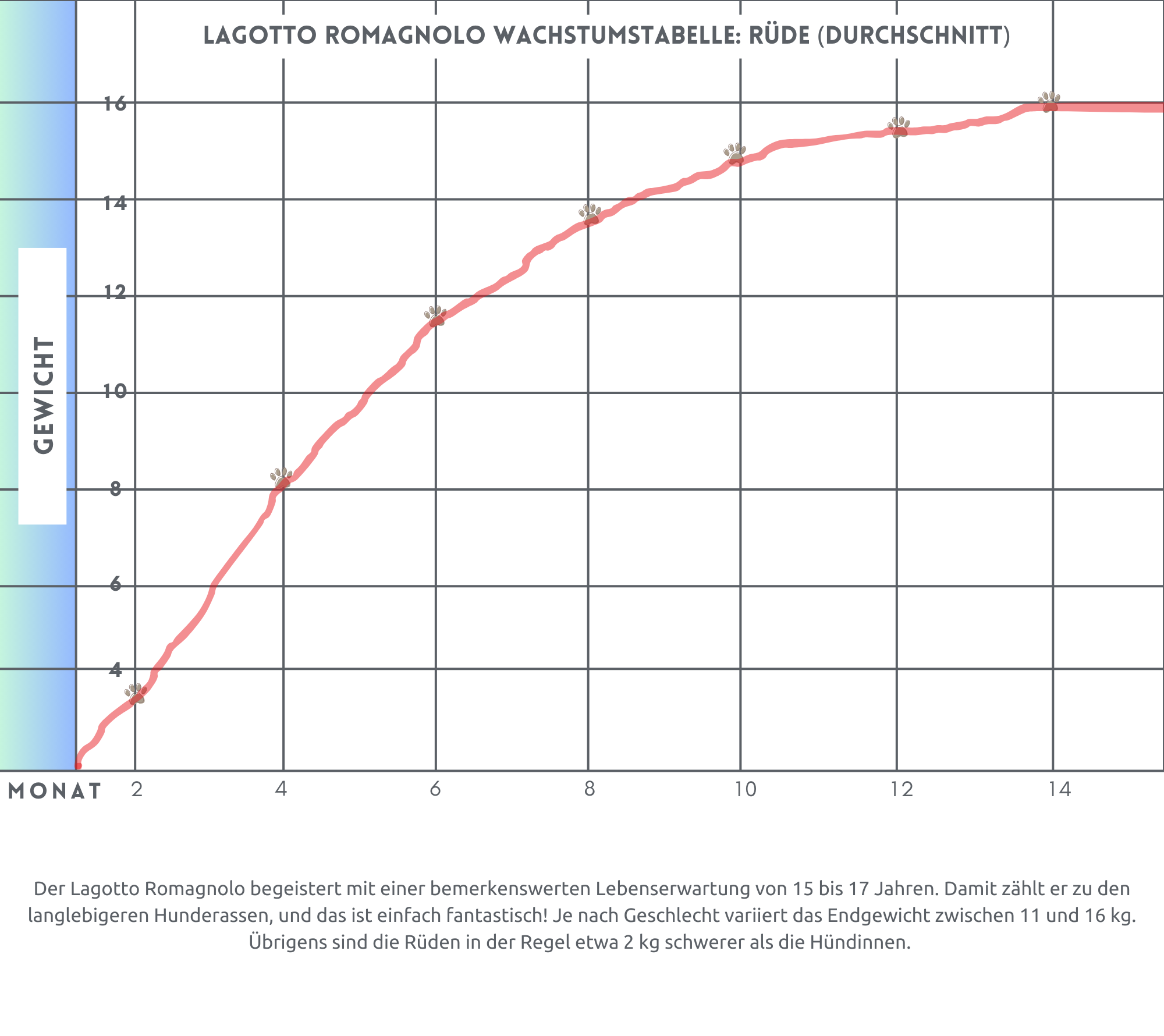 Lagotto Wachstumstabelle Rüde Tabelle: Wachstumskurve beim Hund. Hier: Lagotto Romagnolo Rüde