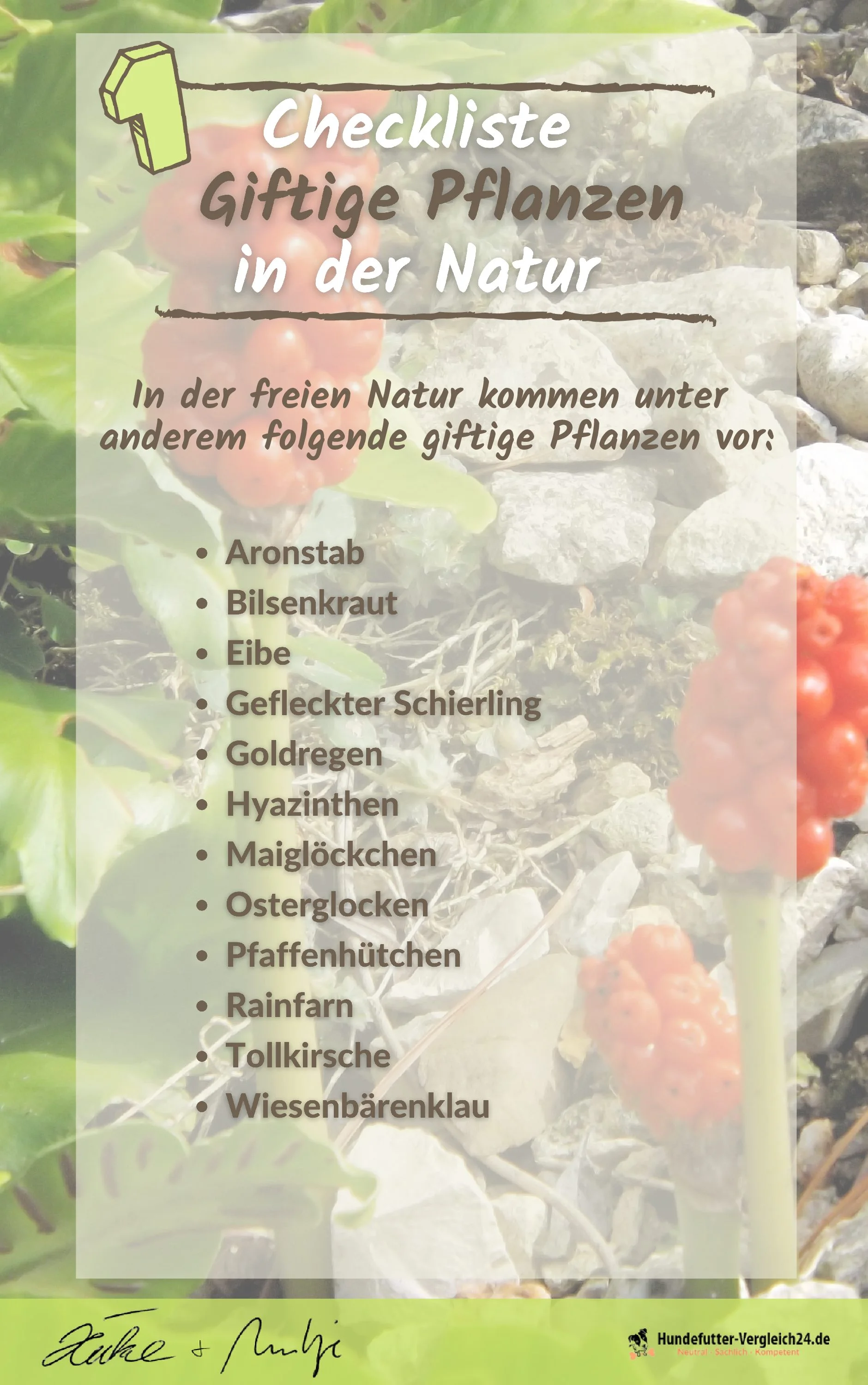 giftige Pflanzen pdf