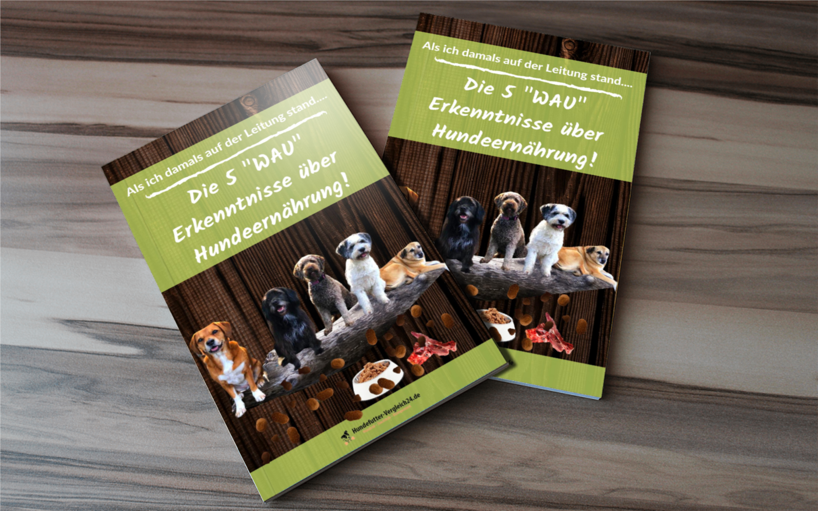 Pdf Die 5 Wau- Erkenntnisse